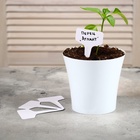 Таблички садовые, для маркировки растений, 10 см, набор 20 шт., пластик, МИКС, Greengo - Фото 6