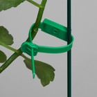 Подвязки для растений, 14 см, набор 20 шт., пластик - Фото 4