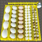 Инкубатор, на 42 яйца, автоматический переворот, 220 В, Janoel - Фото 7