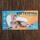 Когтеточка из картона с кошачьей мятой «Кот с рыбами», 45 × 18 см 5478376 - фото 16348163