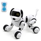 Робот собака «Пультовод» ZHORYA, программируемый, на пульте управления, интерактивный: свет, звук, танцующий, музыкальный, на аккумуляторе, на русском языке - фото 2076717