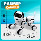 Робот собака «Пультовод» ZHORYA, программируемый, на пульте управления, интерактивный: свет, звук, танцующий, музыкальный, на аккумуляторе, на русском языке - Фото 2