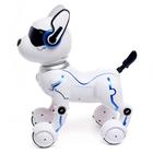 Робот собака «Фьючер» ZHORYA, на пульте управления, интерактивный: звук, свет, танцующий, музыкальный, на аккумуляторе - фото 7572860
