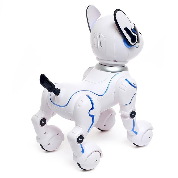 Робот собака «Фьючер» ZHORYA, на пульте управления, интерактивный: звук, свет, танцующий, музыкальный, на аккумуляторе - фото 1905753212