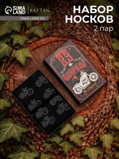 Носки мужские «23 Февраля», набор 2 пары, размер 41-44 (27-29 см)