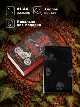 Носки мужские «23 Февраля», набор 2 пары, размер 41-44 (27-29 см) 5302095