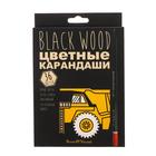 Карандаши цветные 36 цветов BlackWoodColor, пластиковые, трёхгранные, МИКС 4810930 - фото 12478695