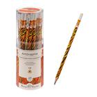 Карандаш чернографитный BrunoVisconti. ArtGraphix Fun «Тигр», НВ, трёхгранный, пластиковый, корпус с рисунком - Фото 1