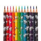 Цветные карандаши 12 цветов BrunoVisconti KidsColor, 3 мм, МИКС 6623814 - фото 16939416