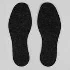 Стельки для обуви, ароматизированные, антибактериальные, 38 р-р, пара, цвет чёрный - Фото 3