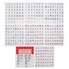 Касса букв, слогов и счета Calligrata, c цветным рисунком (оборотная), А5, ПВХ, МИКС - Фото 5