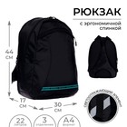 Рюкзак молодёжный, 44 х 30 х 17 см, эргономичная спинка, Calligrata К Minimal, чёрный/мятный - фото 9198386