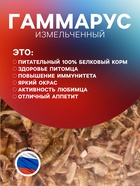Корм для рыб и черепах «Пижон» гаммарус измельченный, 1 л - Фото 2