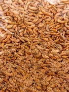 Корм для рыб и черепах «Пижон» гаммарус тушка, 500 г - Фото 6