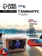 Корм для рыб и черепах «Пижон» гаммарус тушка, ведро, 2 л - Фото 1