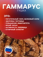 Корм для рыб и черепах «Пижон» гаммарус тушка, ведро, 2 л - Фото 2