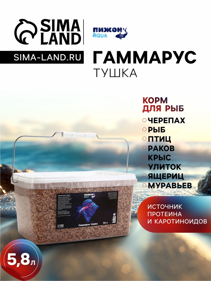 Корм для рыб и черепах «Пижон» гаммарус тушка, ведро, 5.8 л - Фото 1