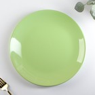 Тарелка керамическая обеденная Доляна «Пастель», d=27 см, цвет зелёный - фото 320543041