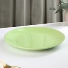 Тарелка керамическая обеденная Доляна «Пастель», d=27 см, цвет зелёный - Фото 2