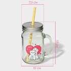Банка с крышкой и трубочкой «Котик», 450 мл, 10×7.5×13 см - Фото 2