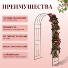 Арка садовая, 240×125×36.5 см, для вьющихся растений, металлическая, зелёная, «Волна» - Фото 2
