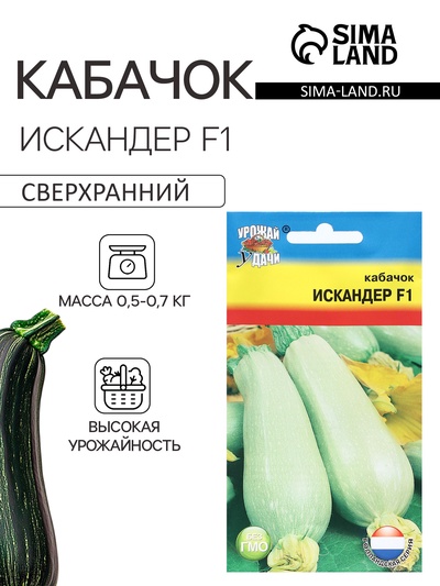 Семена Кабачок «Искандер», F1, 3 шт., «Урожай удачи»