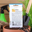 Семена Кабачок «Ореховый»,1.5 г, «Урожай удачи» - Фото 8