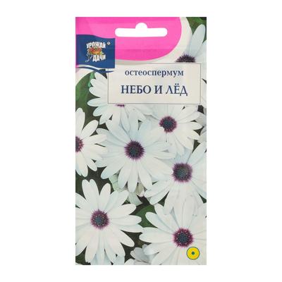 Семена цветов остеоспермум «Небо и Лёд». 0.1 г