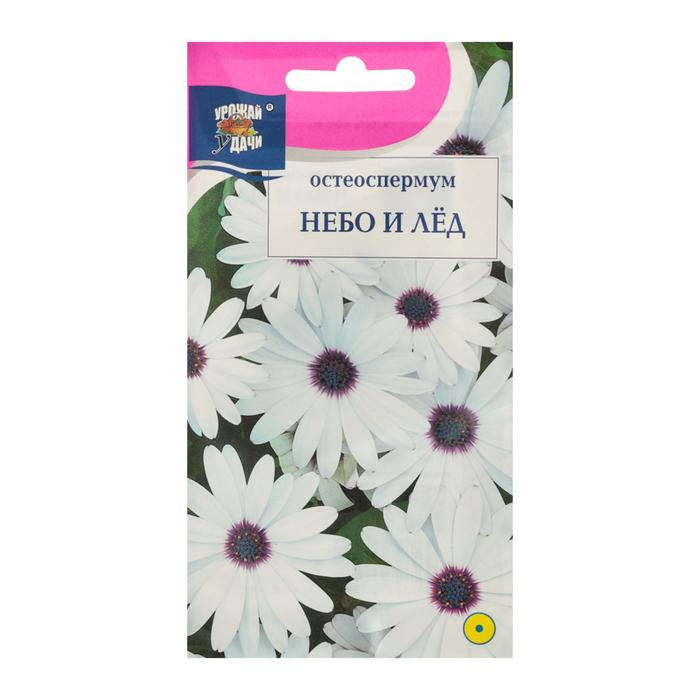 Семена цветов остеоспермум «Небо и Лёд». 0.1 г - Фото 1