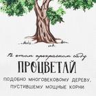 Полотенце кухонное Доляна «Процветай», 35х60 см, 100% хлопок, 160г/м2 5423106 - фото 13962205