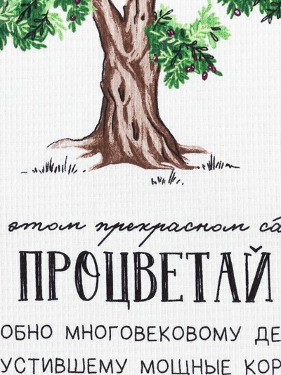 Набор кухонных полотенец «Доляна. Процветай» Vegetation, 2 шт., белые, 35×60 см