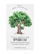 Набор кухонных полотенец Доляна «Красота повсюду», 35×60 см-4 шт., 100% хлопок - Фото 3