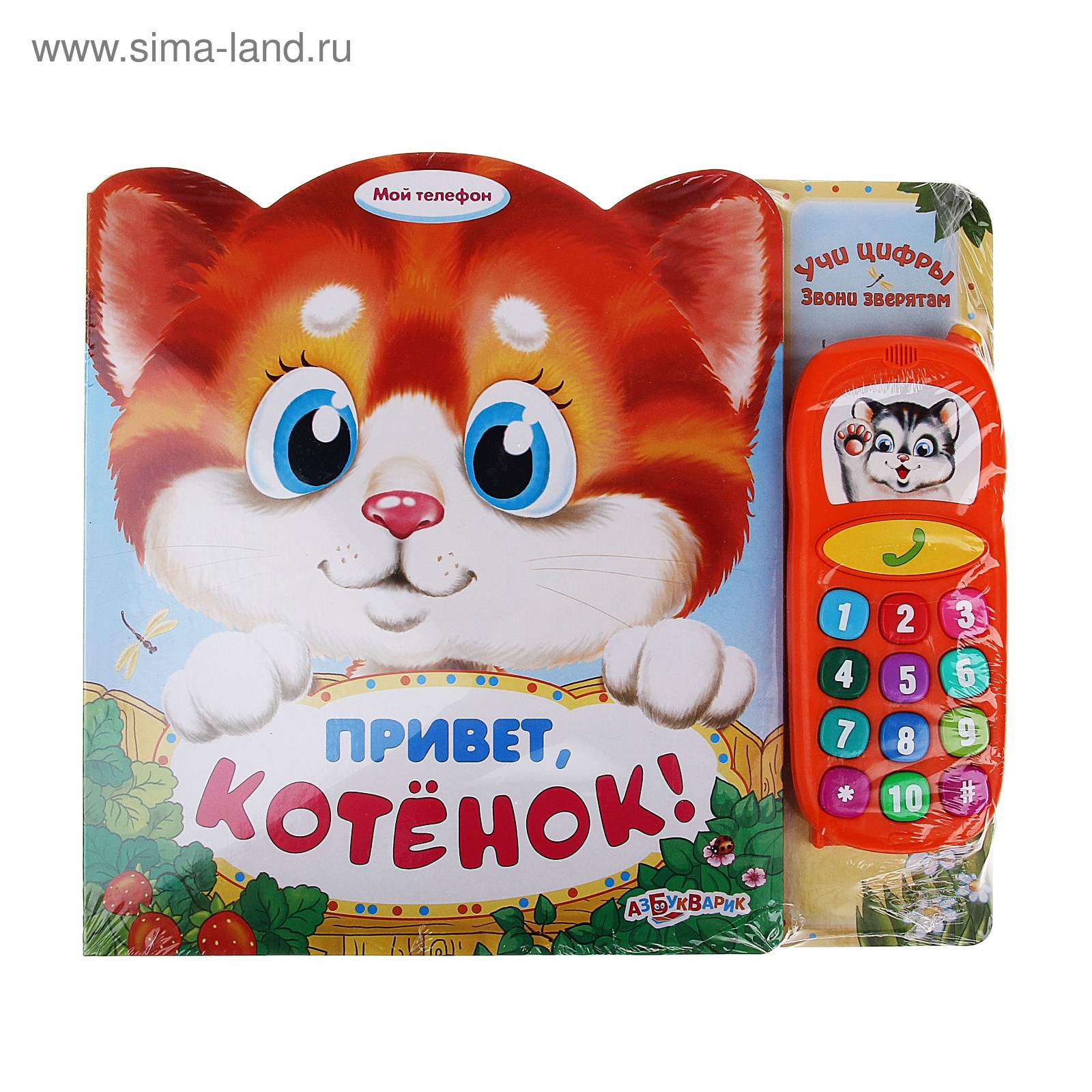 Книга мой котенок. Мой любимый котенок. Говорящие книги для детей. Любимому котику. Книга мой котенок.