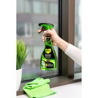 Средство для мытья стекол и зеркал Expel, мята, антидождь, 450 мл - Фото 2