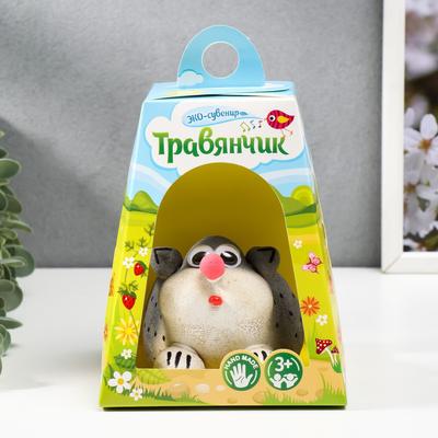 Растущая травка "Ёжик" в домике