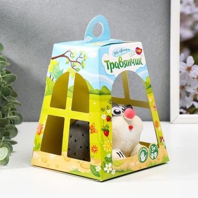 Растущая травка "Ёжик" в домике