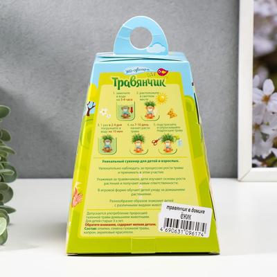 Растущая травка "Ёжик" в домике