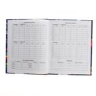 Дневник для 1-4 классов "Мальчики", твёрдая обложка, матовая ламинация, 48 листов, МИКС - Фото 7