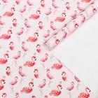 Набор бумаги упаковочной глянцевой "Фламинго", 2 листа 50 × 70 см - фото 6393670