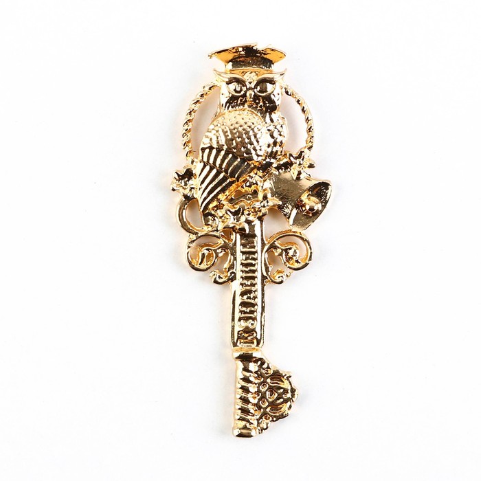 Ключ сувенирный на Выпускной «К знаниям», металл, 2 х 4,8 см - фото 1883653185