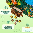 Бизиборд «Бизидуб» - Фото 2