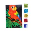 Аппликация пайетками «Попугай на ветке» + 6 цветов пайеток по 7 грамм - Фото 2