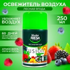 Освежитель воздуха Master Fresh сменный баллон Лесная ягода 250 мл - Фото 1