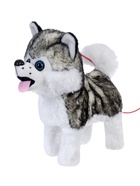 Интерактивная собака «Мой хаски» ходит, лает, поёт песенку, виляет хвостиком 5488865 - фото 319939494 Интерактивная собака «Мой хаски» ходит, лает, поёт песенку, виляет хвостиком 5488865 - фото 319939494