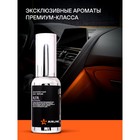 Ароматизатор-спрей AIRLINE "SILVER" Perfume, ALFA, 30 мл AFSP265 - Фото 2