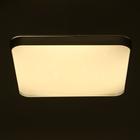 Люстра с ПДУ 33088 72Вт LED 3000-6000К, диммир., серебро, 50х50х7 см 6626431