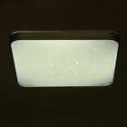 Люстра с ПДУ 33088 72Вт LED 3000-6000К, диммир., серебро, 50х50х7 см 6626431