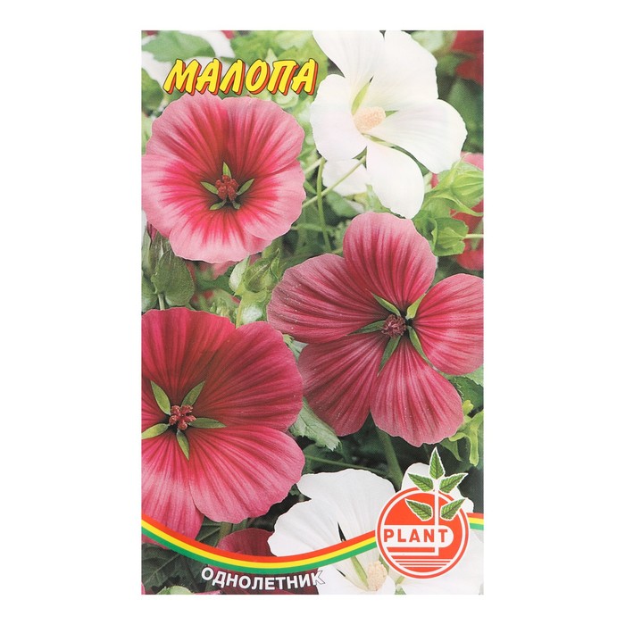 Семена цветов Малопа 0,1 г - Фото 1