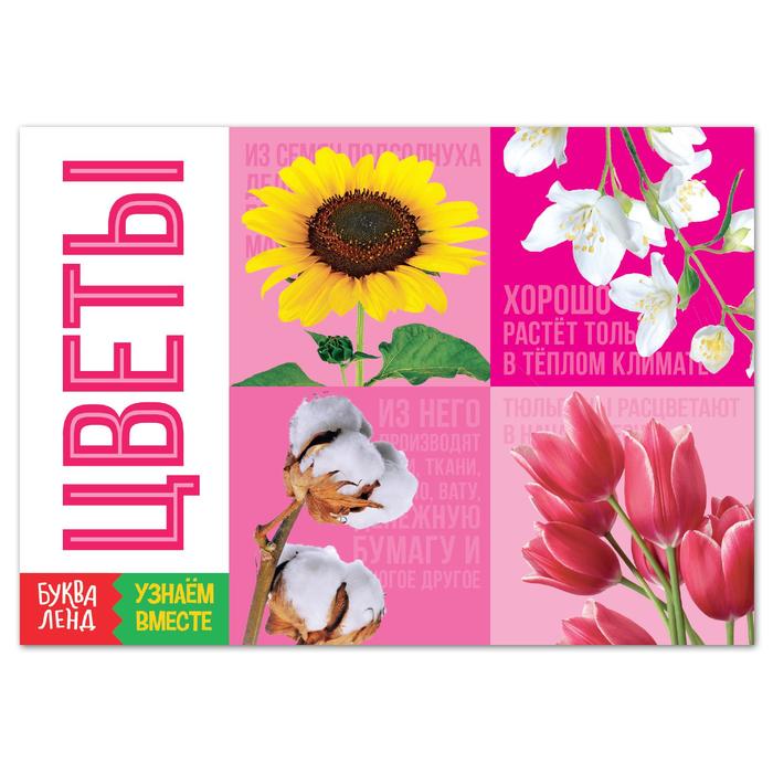 Обучающая книга «Цветы», 20 стр. - Фото 1