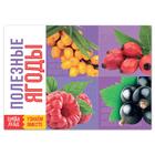 Обучающая книга «Полезные ягоды», 20 стр. - Фото 1